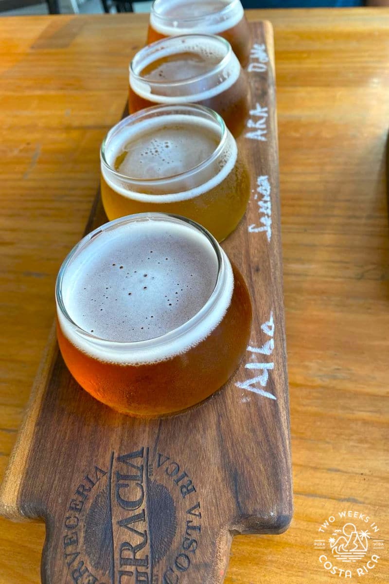 A flight of beer from Gracia Brewery in Costa Rica pictured vertically