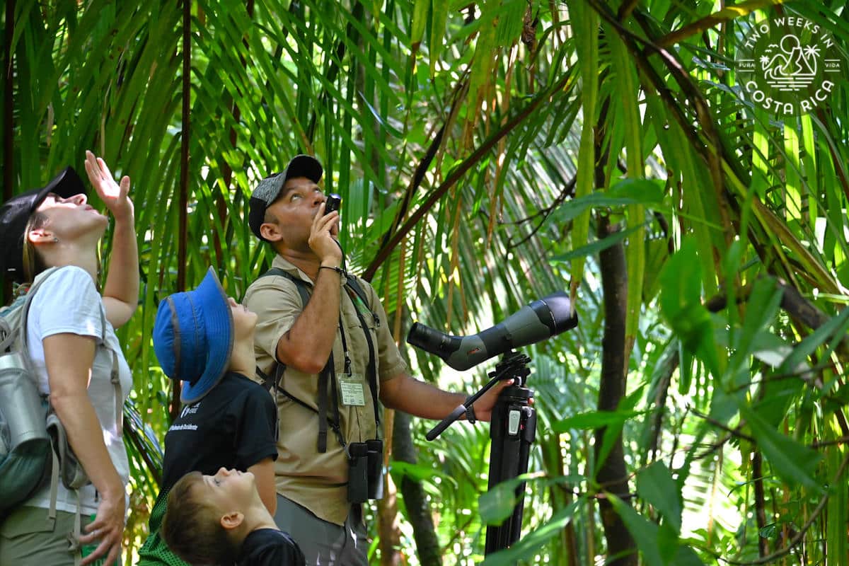 A guide pointing out wildlife to a family on a tour in Costa Rica