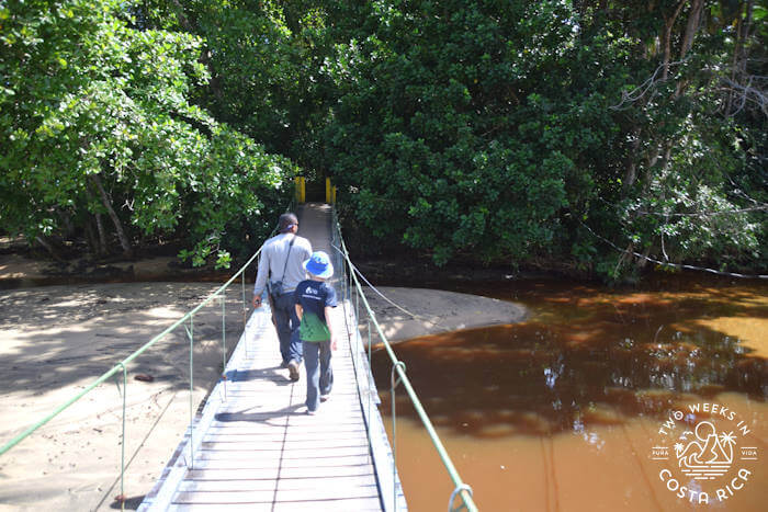 short suspension foot bridge crossing a murky river