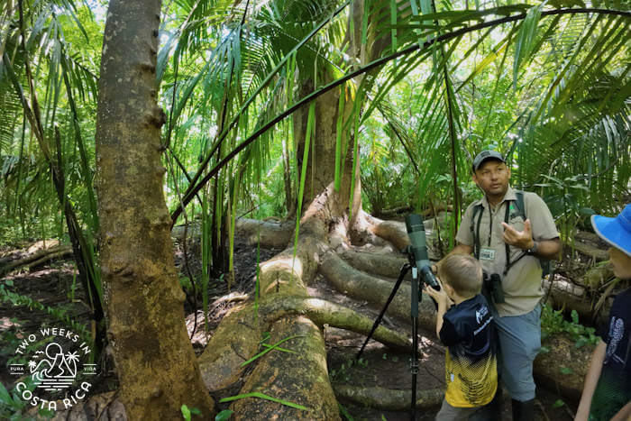 a family on a guided nature tour in Samara