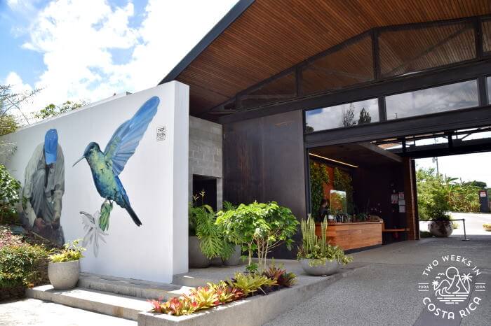 Starbucks Hacienda Alsacia