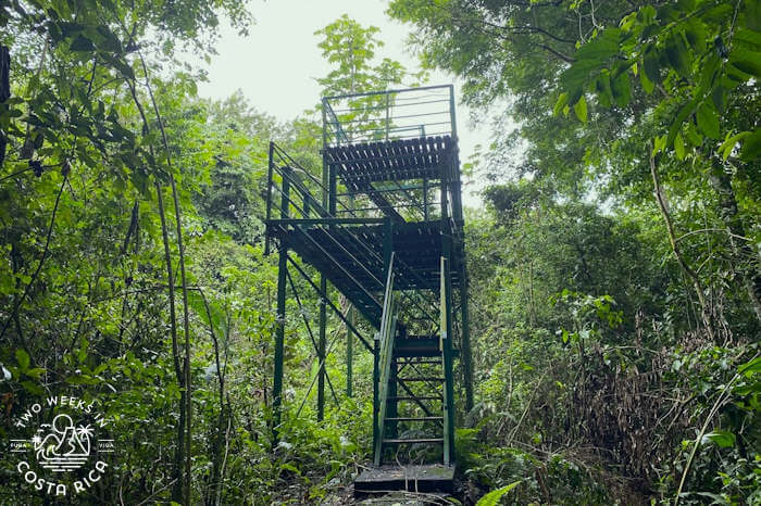 Large metal tower in jungle