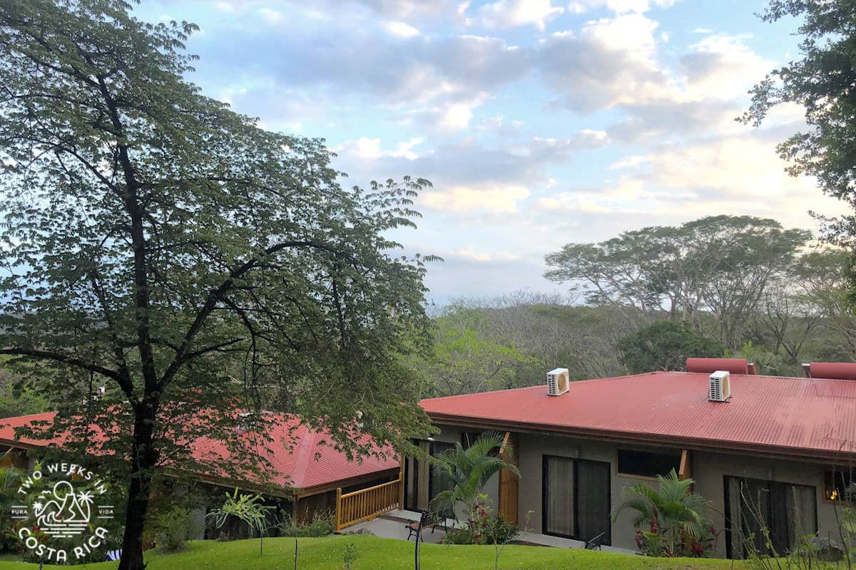 two cabin style hotel buildings near large trees
