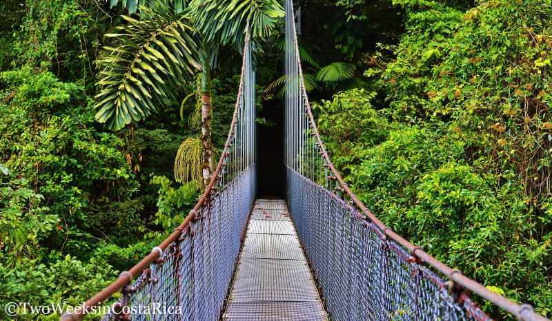 2 Week Itinerary for Costa Rica | Two Weeks in Costa Rica