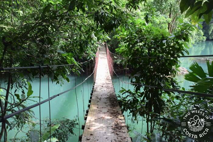 Hanging Bridge Agujitas