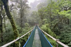 Suspension bridge through the rainforest in Bijagua Costa Rica