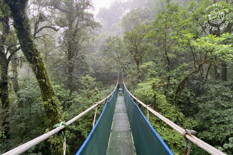 Suspension bridge through the rainforest in Bijagua Costa Rica