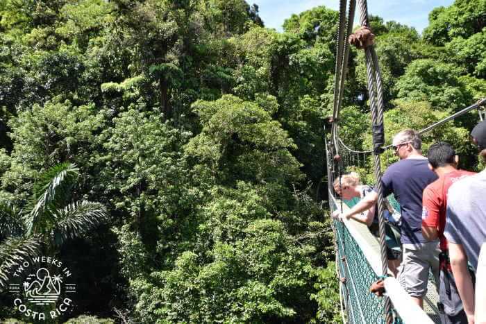 Hanging Bridges in Costa Rica