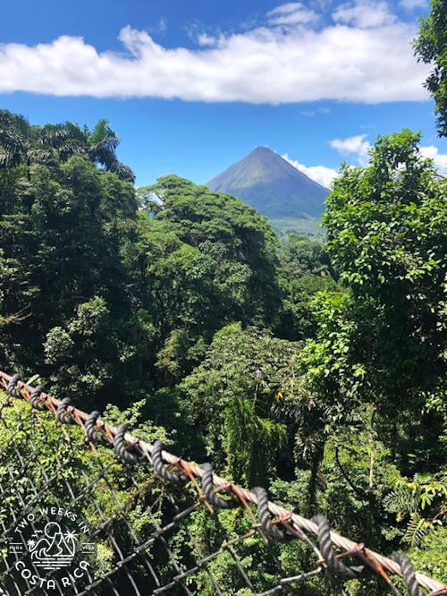 looking over hanging bridge at thick rainforest and volcano in background