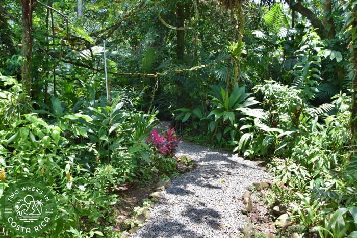 EcoCentro Danaus, Family Itinerary for Costa Rica