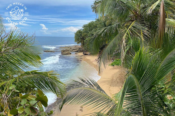 cove with tan sand and palm trees