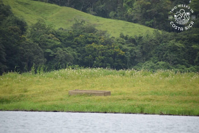 Remnants of Town Where Lake Arenal Is