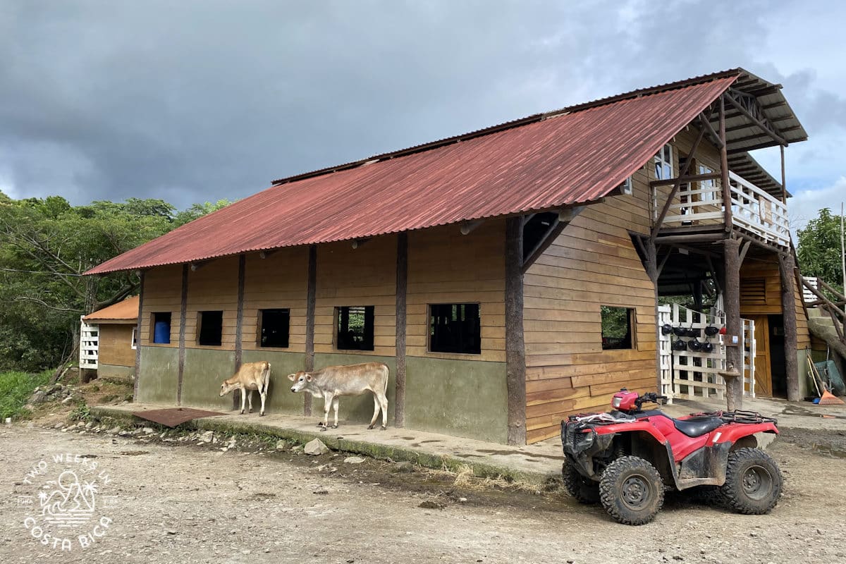 wooden barn of finca madre tierra