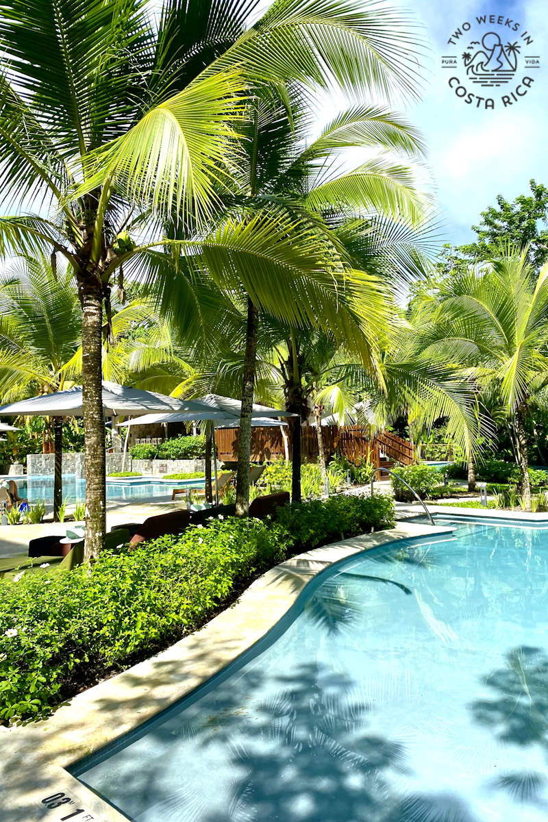 large lagoon pool with landscaping and palm trees