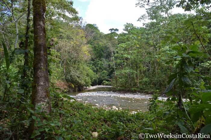 The river near Corcovado's El Tigre entrance