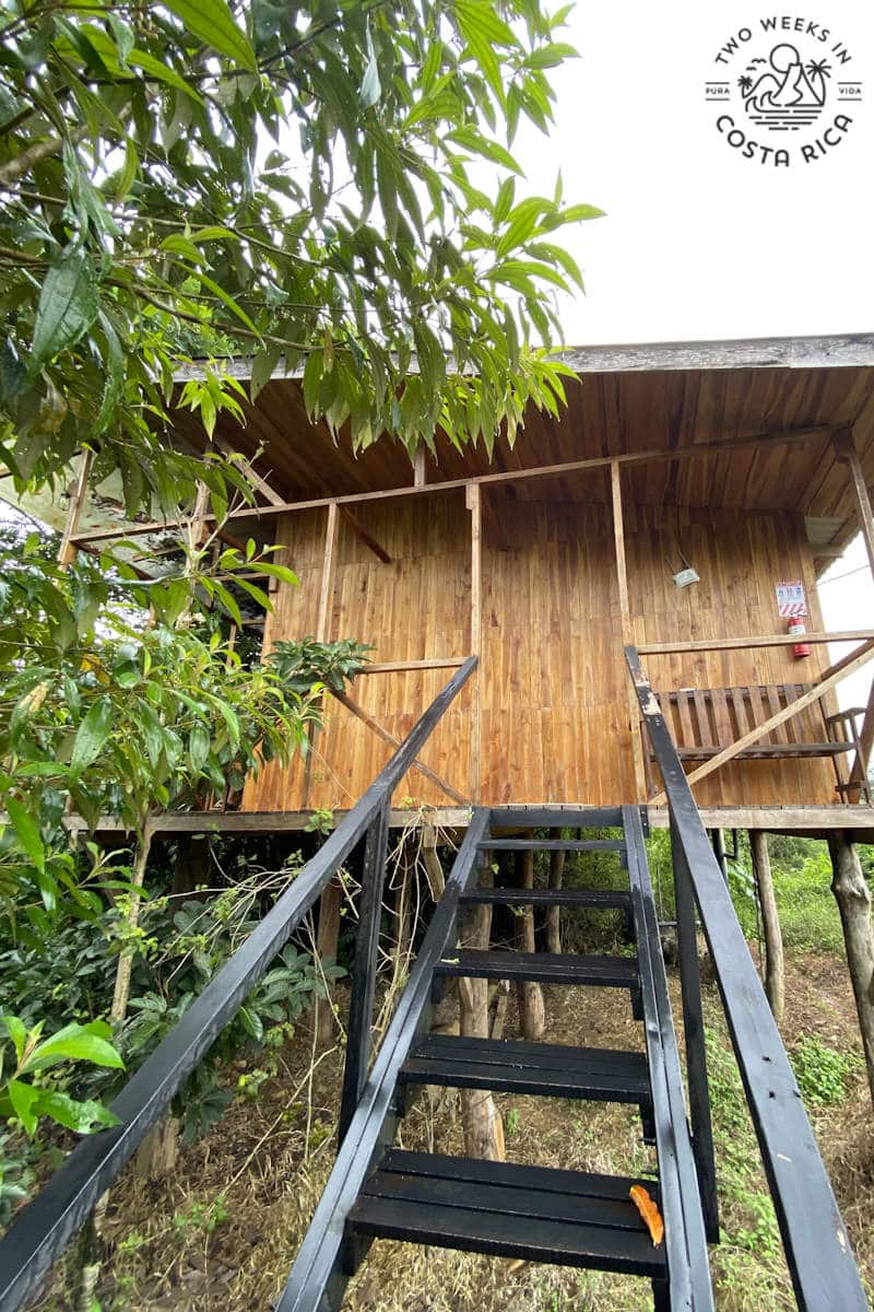 wooden tree house with metal stairs next to a tree