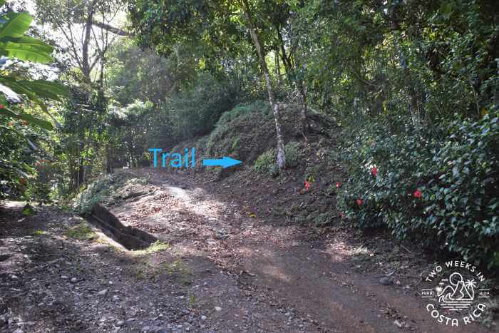 Trailhead Matapalo Waterfall