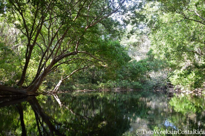 Pond with many green trees at Lomas Barbudal Biological Reserve