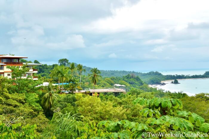Thick rainforest surrounds in Manuel Antonio