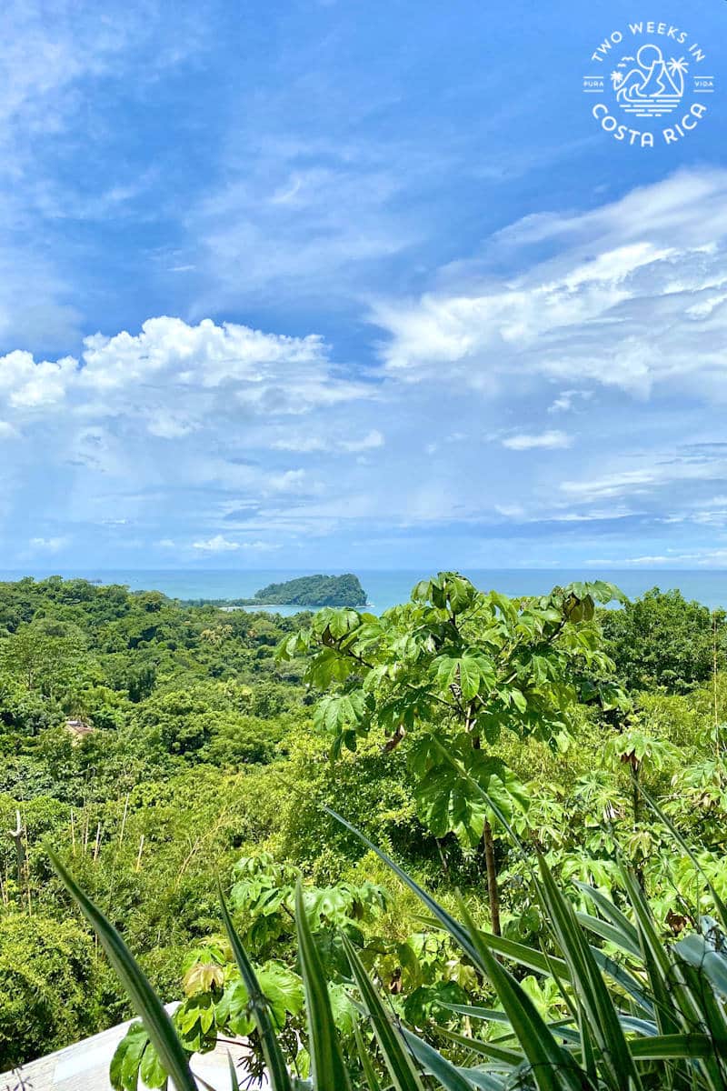 looking from above at the rainforest and ocean in the distance with blue sky