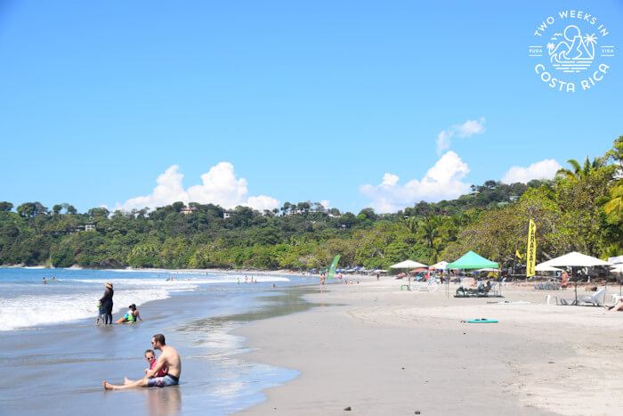 white sand beach with umbrellas 