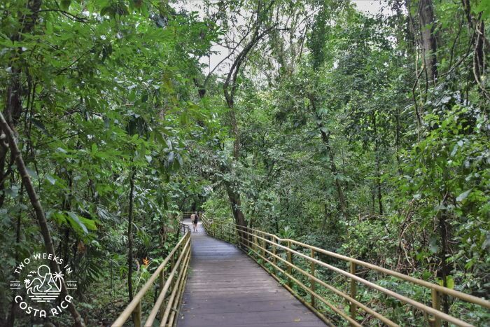 Manuel Antonio National Park Rainy Season