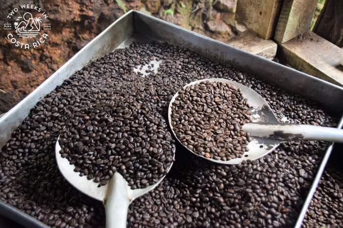 Roasting Coffee Café Don Emilio