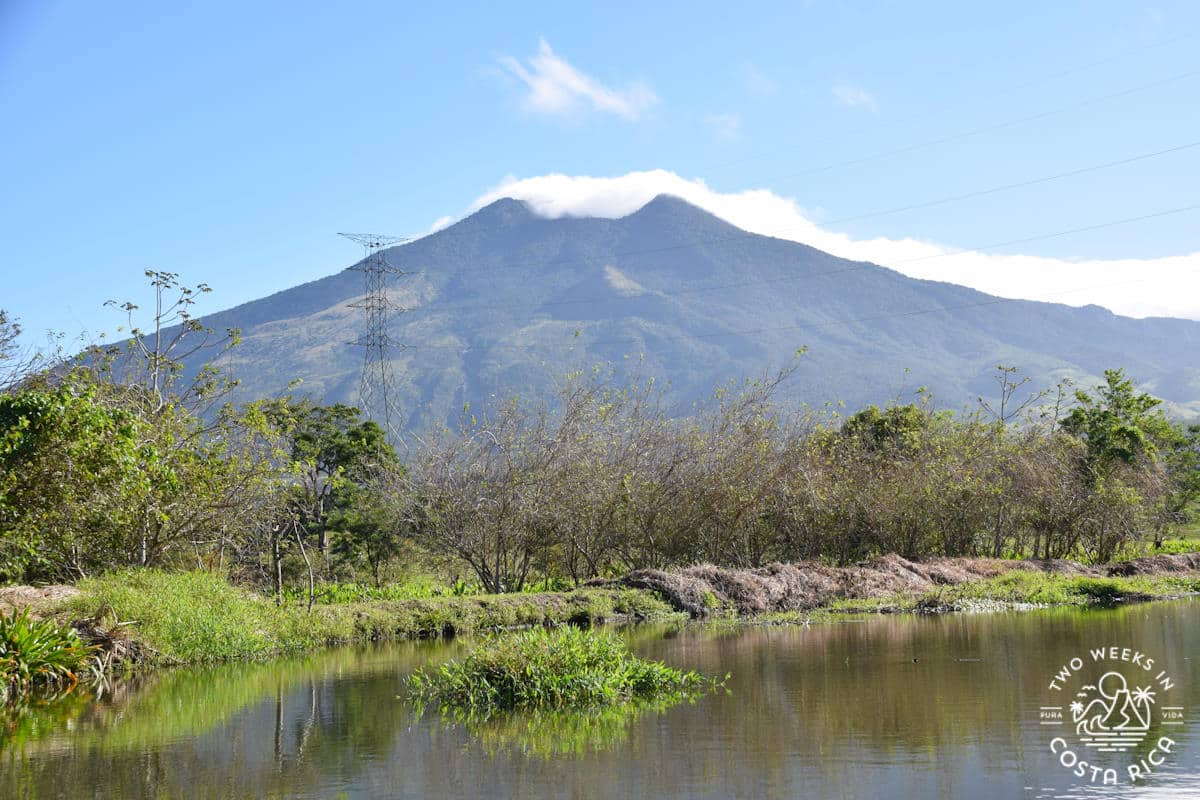 view of Miravalles Volcano from hotel colinas