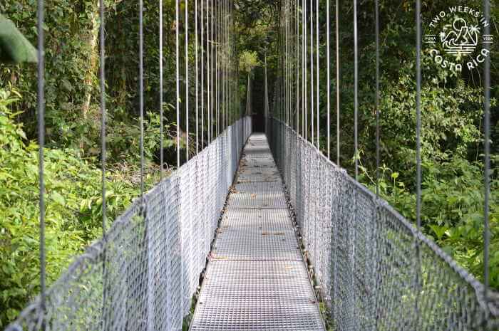 Mistico Hanging Bridges