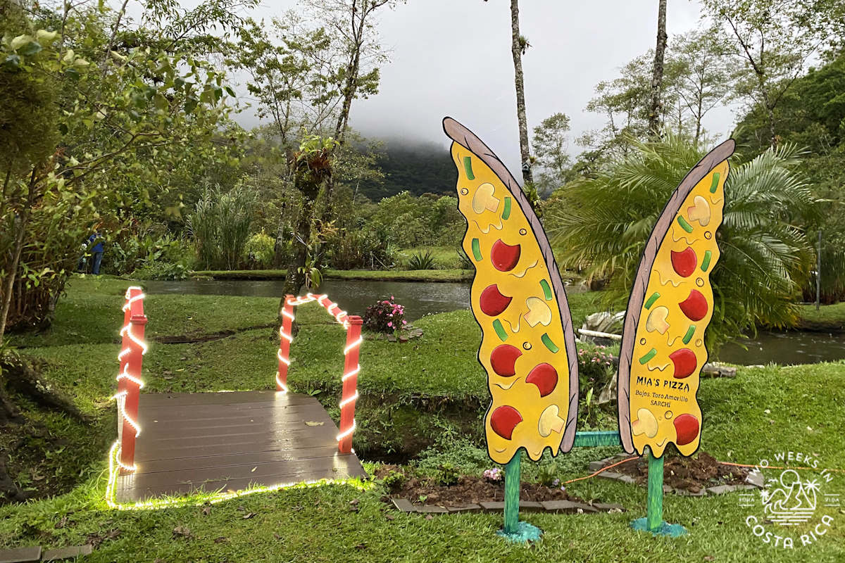 a butterfly wings display and bridge over a pond with fog in the background