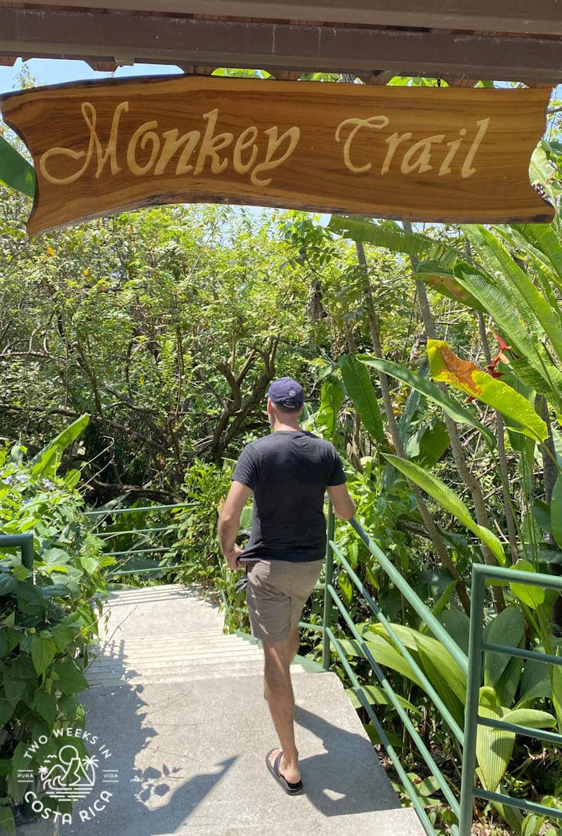 person walking on a concrete path with trees and a sign that reads monkey trail