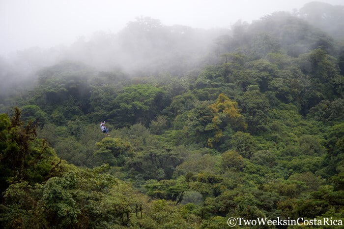 someone zip lining through the cloud forest in Monteverde