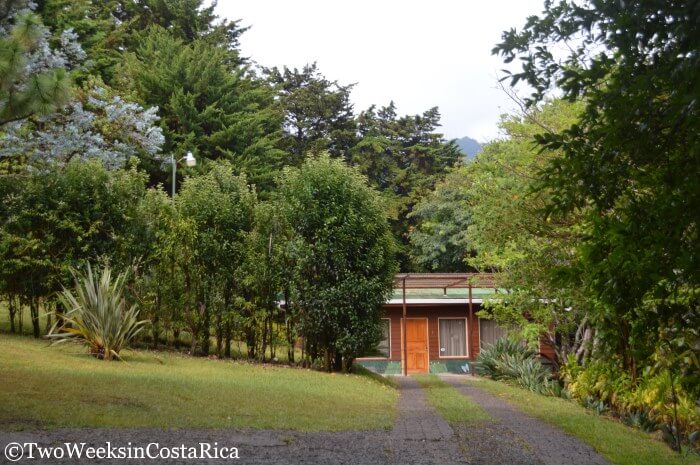 a wooden cabin in the forest at Los Pinos Cabinas, Monteverde