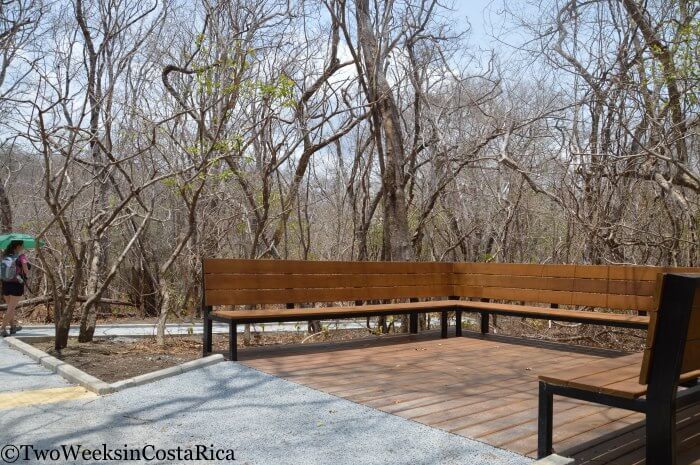 A concrete trail with benches at Santa Rosa National Park