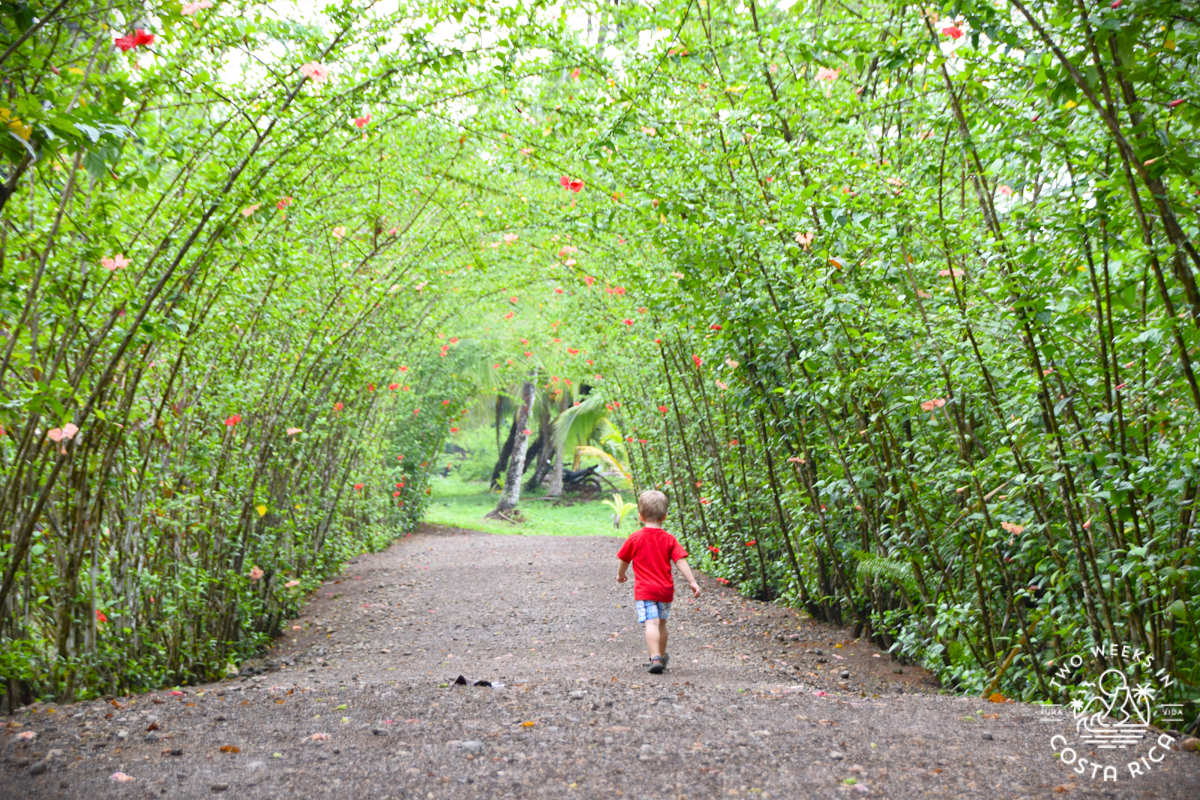 a child walking through a natural tunnel in drake bay