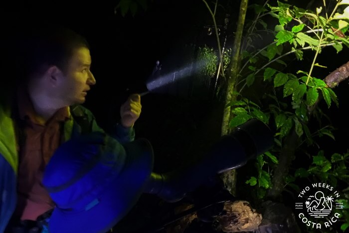 Night Walk Monteverde