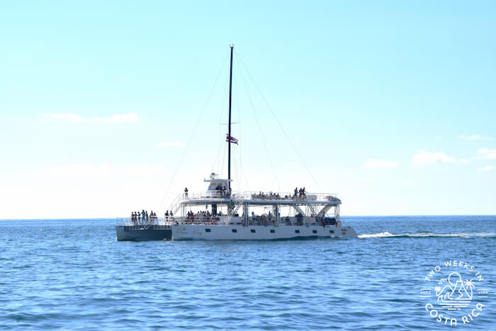 Full view Ocean King boat