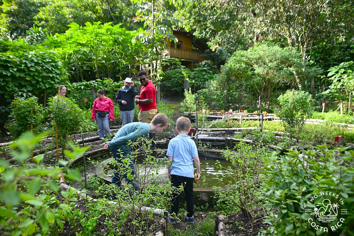 people in a garden that has been planted in a circular pattern