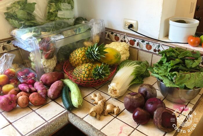 Produce delivery Costa Rica