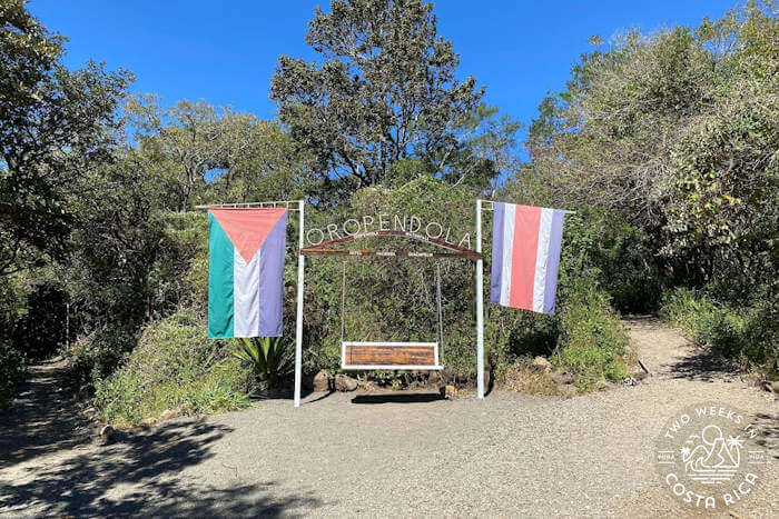 bench with trails to right and left