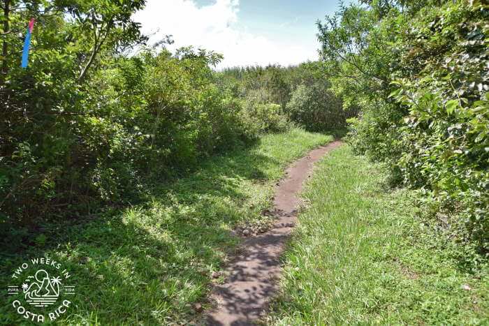 Trail Conditions Oropendola Waterfall