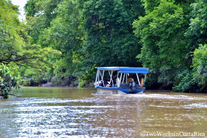Palo Verde Boat Tour from Guanacaste