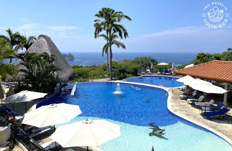 large pool with a palm tree and ocean in the background