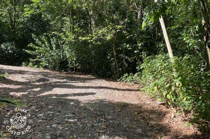 Where to Park Matapalo Waterfall