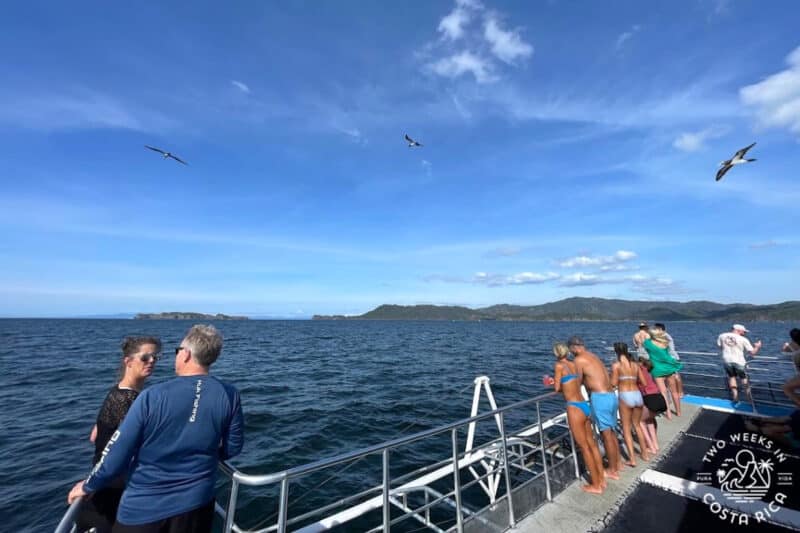 Front of catamaran boat with people looking out at ocean