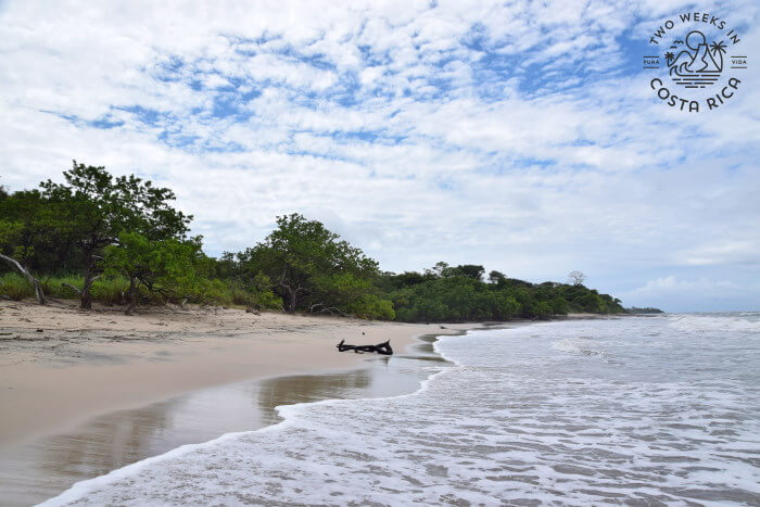 Playa Lagartillo Costa Rica