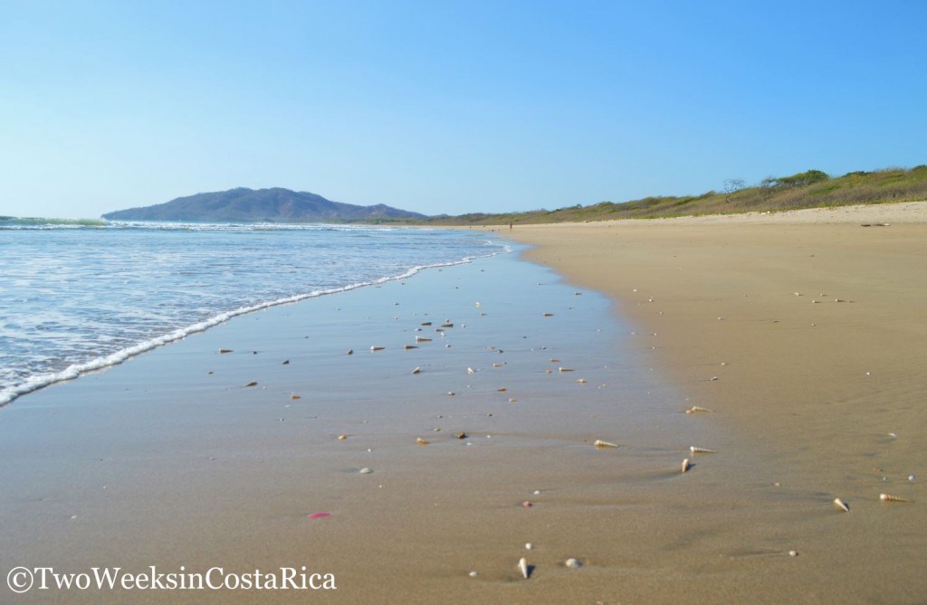 Playa Grande Beach