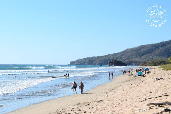The popular surfing destination of Playa Grande, Costa Rica 