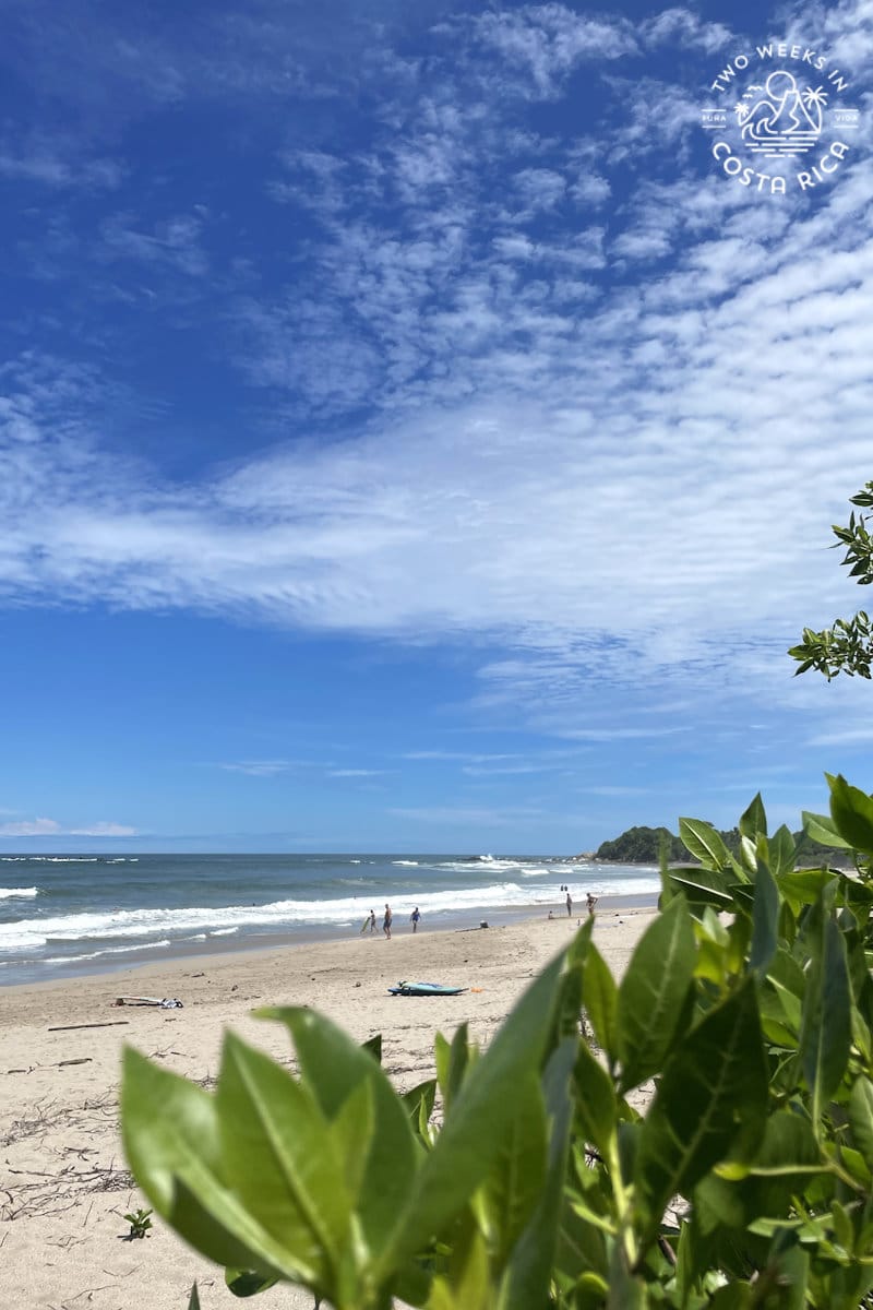 playa guiones with blue sky and green shrubs in the foreground