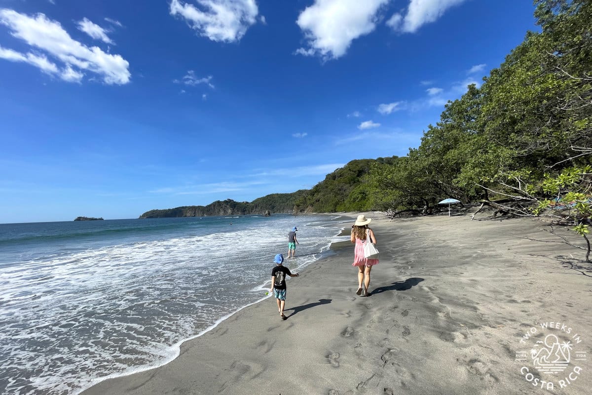 people walking on a tan sand beach with a backing of green forest and blue sky